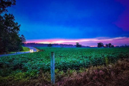 Quinta los Girasoles